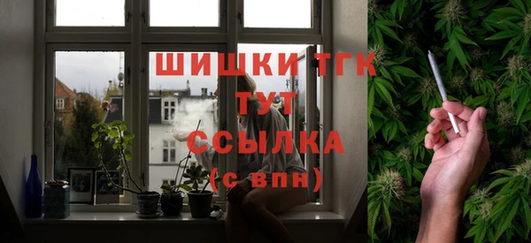 дмт Пересвет
